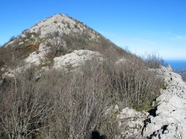 Agido. Hegoaldeko bizkarra