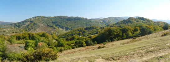 Latxaga eta Latxagibel (Latsagaina) Irupagoetatik