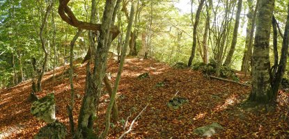 Latxagibeleko gailurra