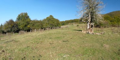 Ilarrietako tumuluetako bat