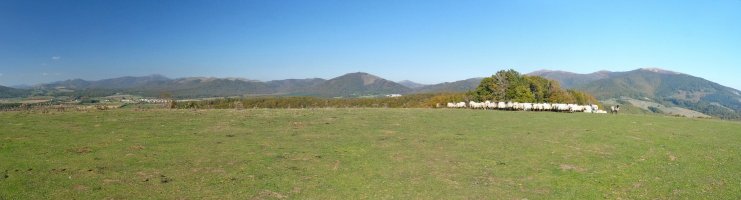 Irupagoetako gailurra