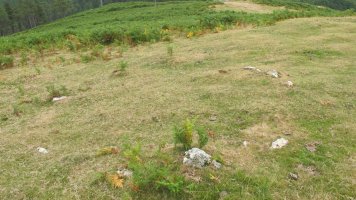 Zaria II harrespila, Oiartzun