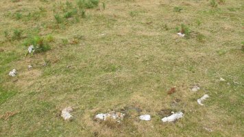 Zaria II harrespila, Oiartzun