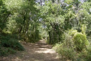 Bidea San Gregorio ermitaren inguruetan, Saldise aldean