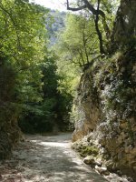 Artazul arroila, ur-jauzirako bidean