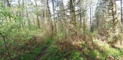 Bagadixarko gailur itxia