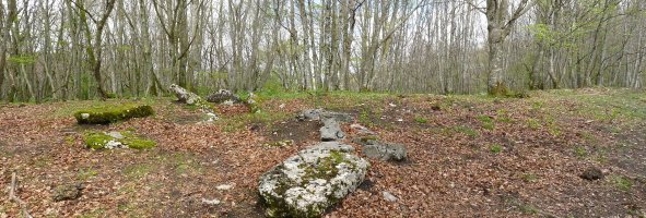 Angaitzako trikuharria