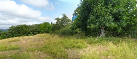 Aanoko gailurra (781)