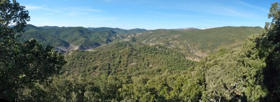 Ikuspegi mugatuak Txaparraldik