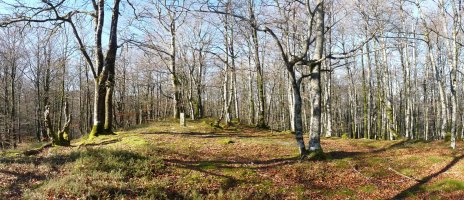 Intsustiko gailurra, Lexarburutik ipar-ekialdera