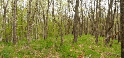 Ezkatimaldako gailurra