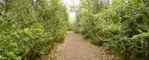 Bideak Alanegiko gailurra zeharkatzen du