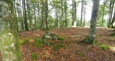 Arburuko Kaskoko gailurra