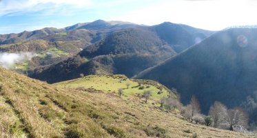 Pilotasoro, Buruzarko hegietatik