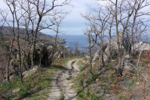 Almirantearen gotorlekutik Farora jaisten den bidea