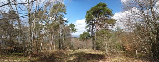 Lertxundegiko lepoa, Elixatoren iparraldean