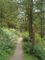 Itzulerako zehar-bidearen hasiera, Besaide aldean