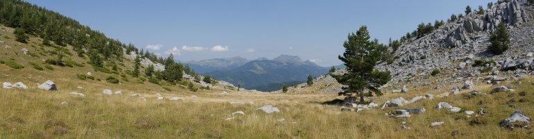 Baines eta Ezkaurre Txikiaren arteko larreak