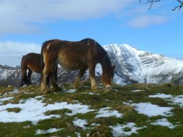 Eskaleramendi, mendebaldeko isurialdetik