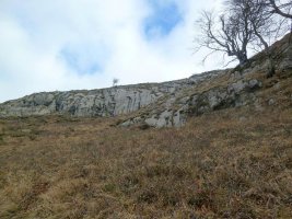 Hegoaldeko isurialdea