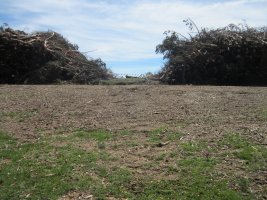 Estropicio  Cromlech Gaztanbide     (Agosto  2014)