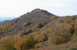 Apordoki mendia, Urdanatz aldetik