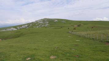 Uzkuiti Aoki aldetik ikusita