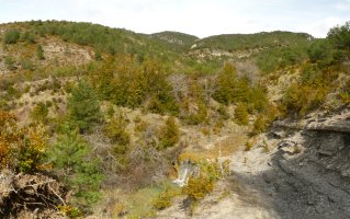 Urjauzia Etxabarko sakanean