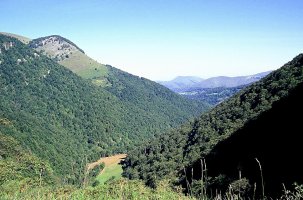 Ur Beltza, Etxekortea joan