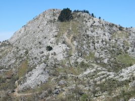 Ekialdeko isurialdea