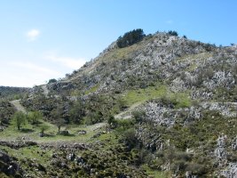 Ekialdeko isurialdea