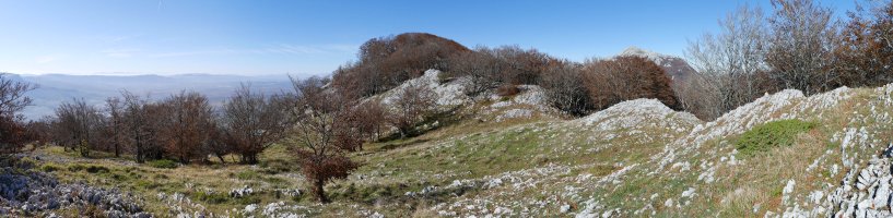 Ekialdeko bizkarreko pasarte bat. Umandia.