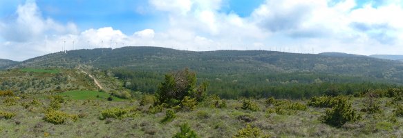 Sabaizako gainak hegoaldetik