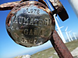 Buzoi Zaharreko Plaka