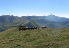 Bizkarze, Orhi, tontorretik