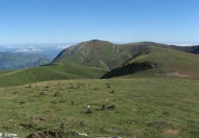 Errozate, tontorretik