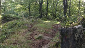 Elosumendi Mugarria Azkoitia-Bergara