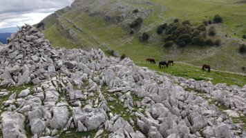 Harriurdineko magala, behorrak