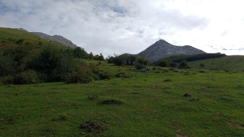 Aloñara bidean, Durun