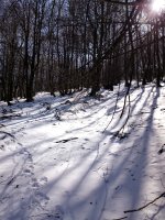 Gazteluko Aitza, Aumategi bidean iparreko laiotzean