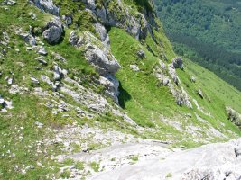 Atxaragun ataka goitik ikusita