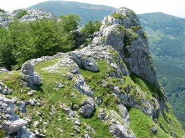 Atxaragun atakako Eko haitza