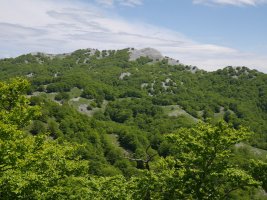 Altipitatxetik ikusita