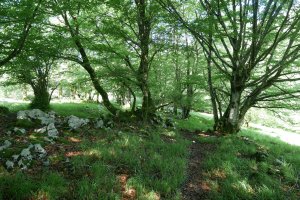 Irumugako Mendebaldeko bizkarreko bidezidorra