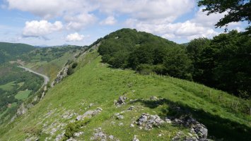 Mergelu IEko bizkarretik