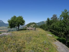 Berastegiko harratearen inguruko gaina