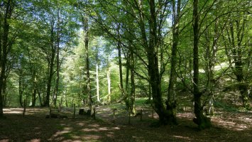 Irupagoeta eta Okabio arteko lepoa