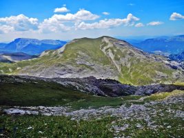 Lapaquiza de Linzola