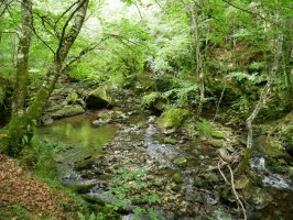 Saúl erreka urjauzitik behera