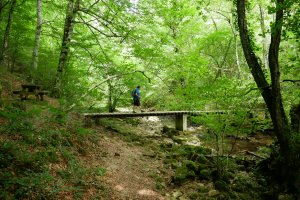 Aisigunea, urjauzitik gertu